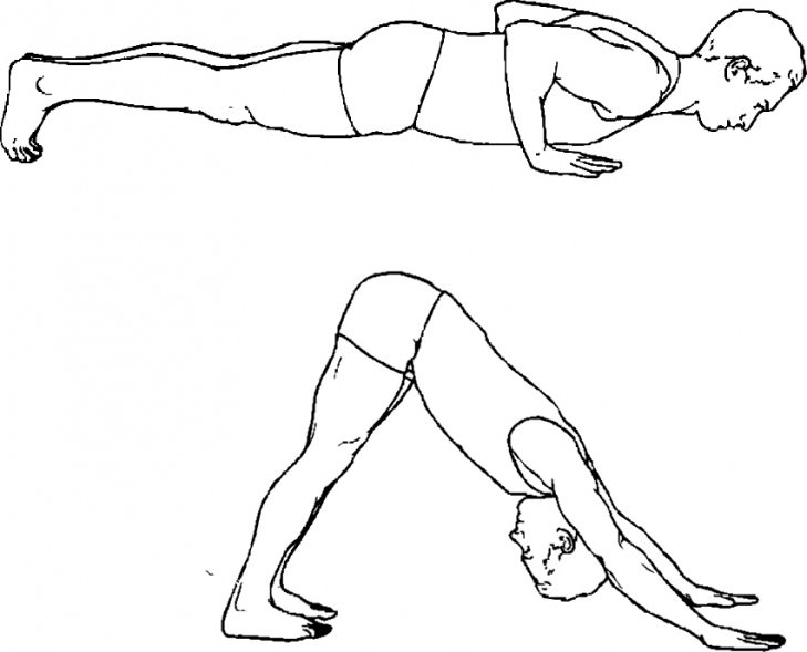 illustration of downward dog stretch