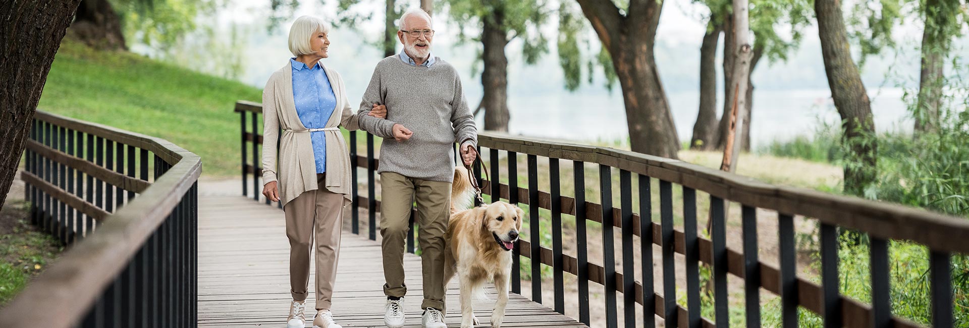 an older couple out walking their dog