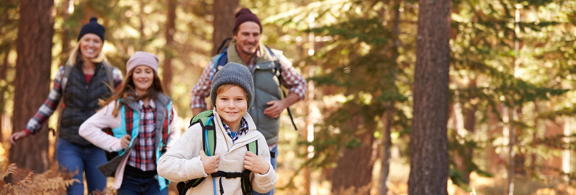 a family of four out on a wilderness hike