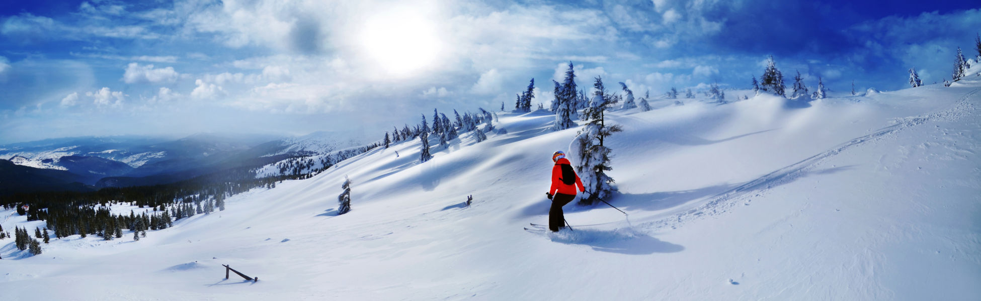 bright orange coat skier on untouched powder slope