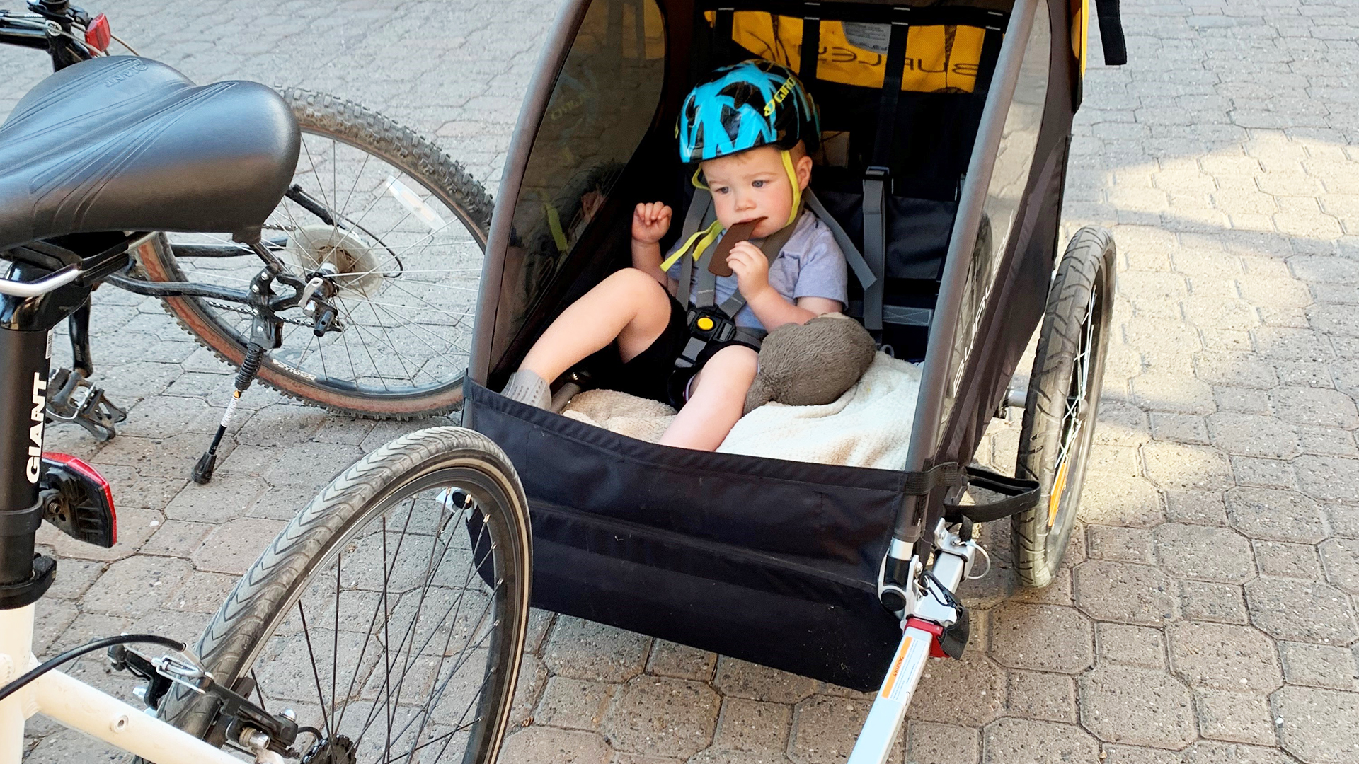 child in bike trailer