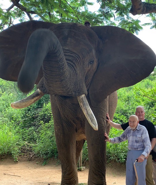 An older man and his son with an elephant on safari