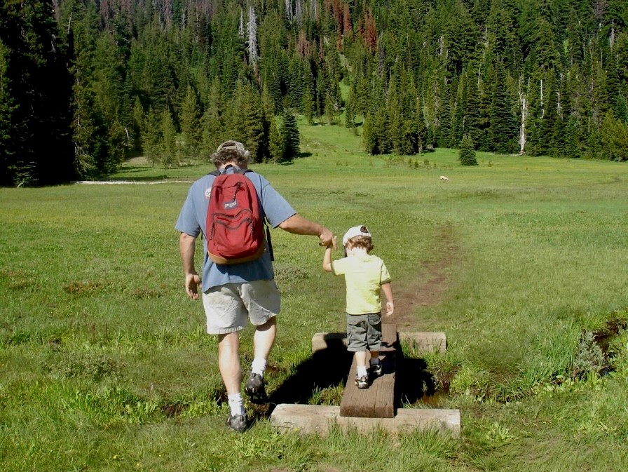 rear view of a man and a child walking in a meadow holding hands