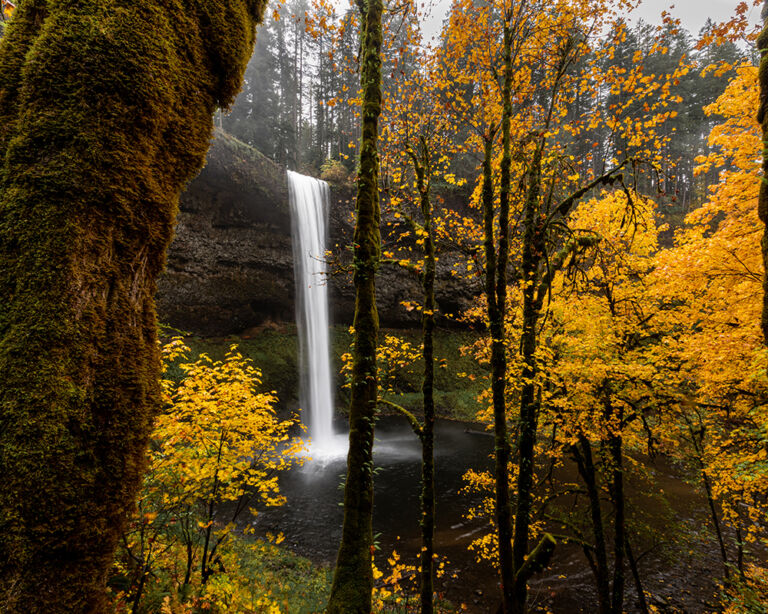 waterfall in the fall season