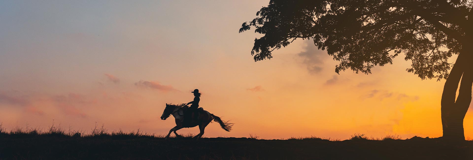 a sunset view of a person riding horseback along the horizon
